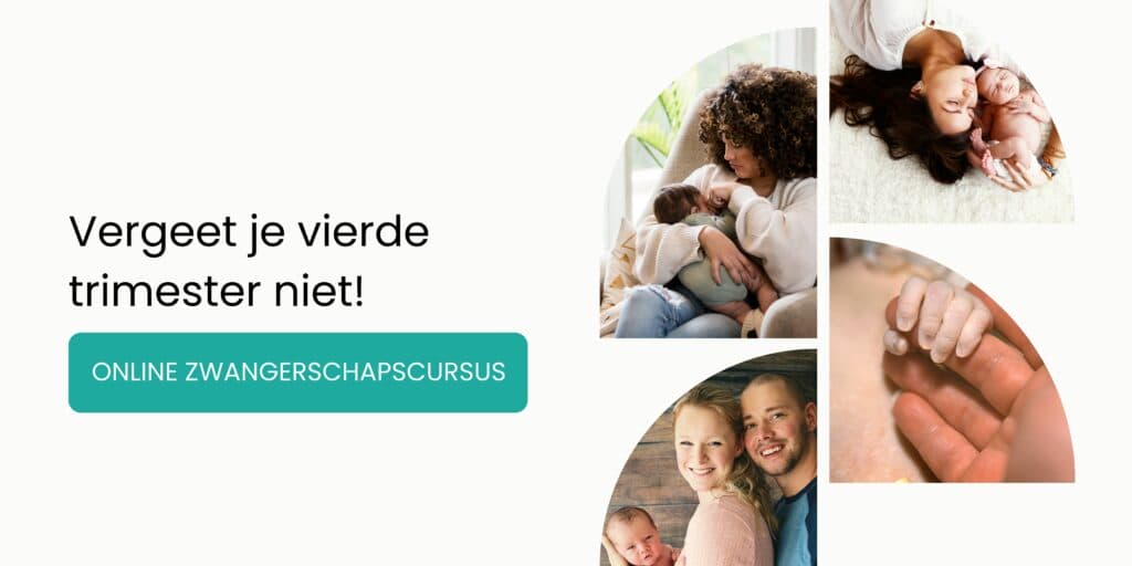 vierde trimester
