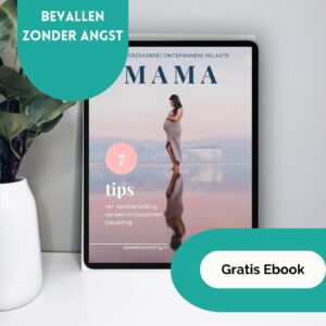 ebook