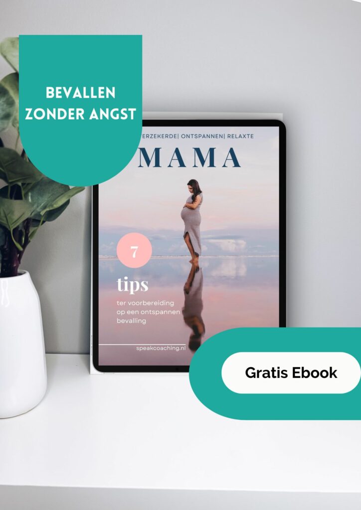 ebook