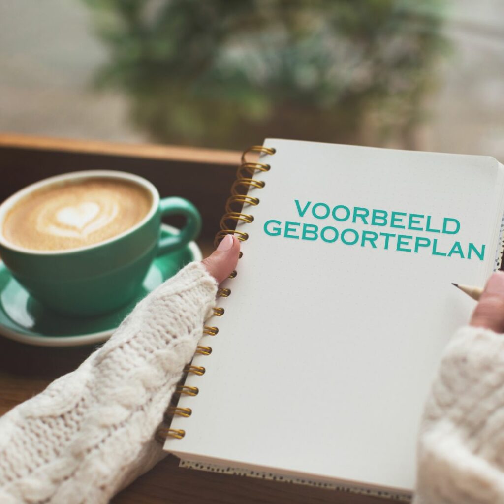 voorbeeld geboorteplan