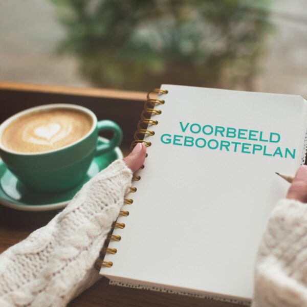 voorbeeld geboorteplan